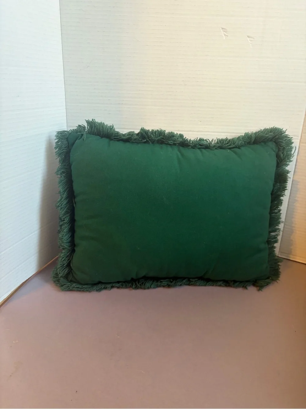Decorative Santa Train Holiday Pillow - Green Fringe